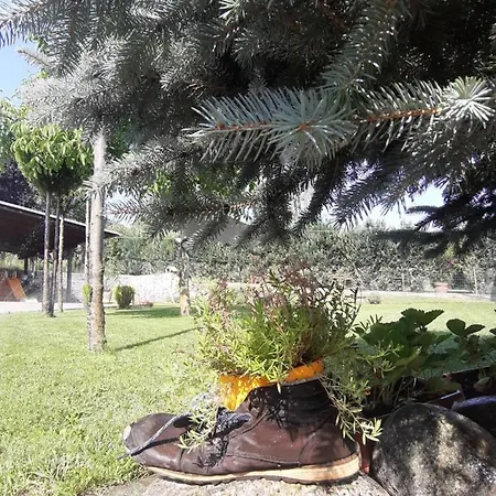 Appartement My Way Bb